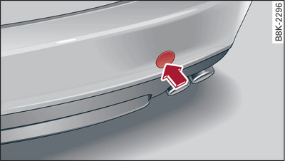 Rear bumper: Cover cap